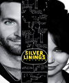 Silver Linings Playbook